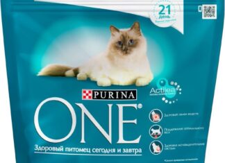 Кращий корм для кішок і котів на думку ветеринарів
