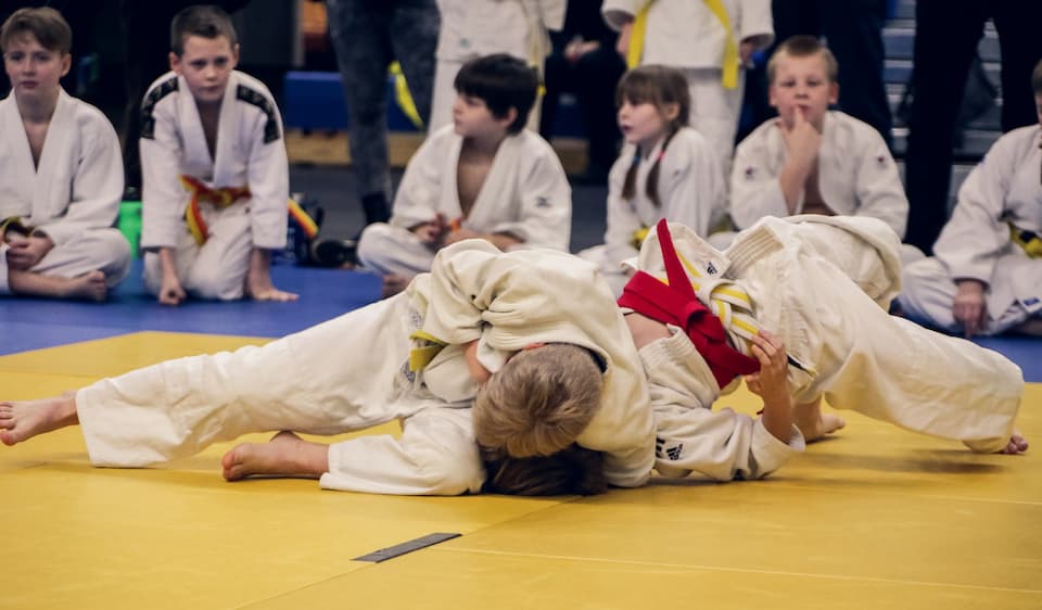 judo-4454835_1920 (1)